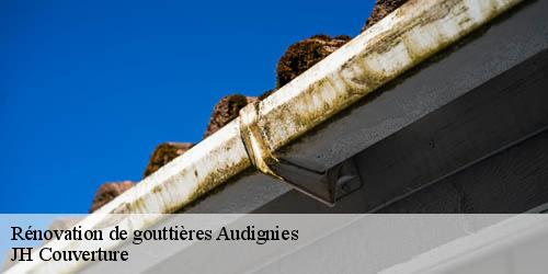 Rénovation de gouttières audignies-59570 JH Couverture
