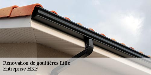 Rénovation de gouttières  lille-59000 Entreprise HKF