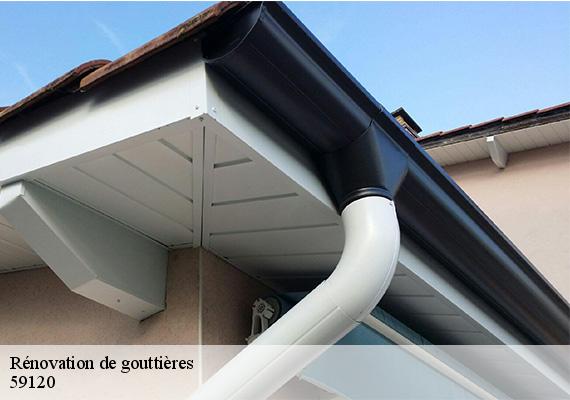 Rénovation de gouttières  loos-59120 Entreprise HKF