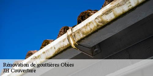 Rénovation de gouttières obies-59570 JH Couverture