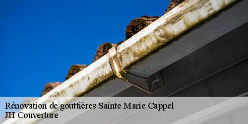 Rénovation de gouttières  sainte-marie-cappel-59670 JH Couverture