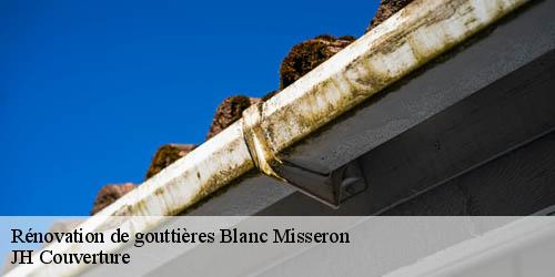 Rénovation de gouttières blanc-misseron-59920 JH Couverture