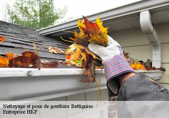 Nettoyage et pose de gouttière  bettignies-59600 Entreprise HKF