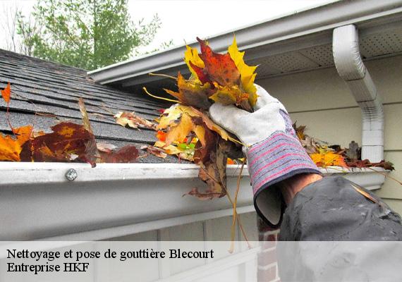 Nettoyage et pose de gouttière  blecourt-59554 Entreprise HKF