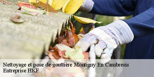 Nettoyage et pose de gouttière  montigny-en-cambresis-59225 Entreprise HKF