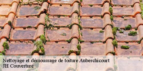 Nettoyage et démoussage de toiture auberchicourt-59165 JH Couverture