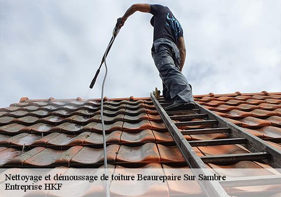 Nettoyage et démoussage de toiture  beaurepaire-sur-sambre-59550 Entreprise HKF