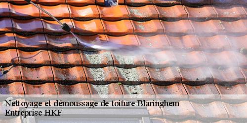 Nettoyage et démoussage de toiture  blaringhem-59173 Entreprise HKF