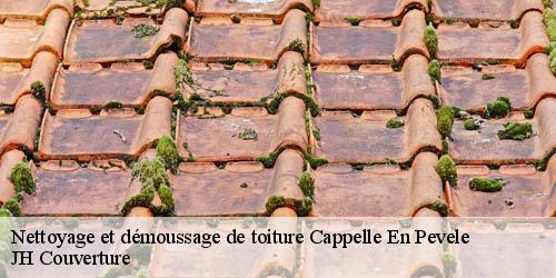 Nettoyage et démoussage de toiture cappelle-en-pevele-59242 JH Couverture