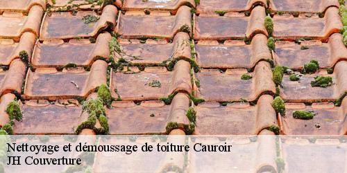 Nettoyage et démoussage de toiture cauroir-59400 JH Couverture