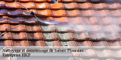 Nettoyage et démoussage de toiture  floursies-59440 Entreprise HKF