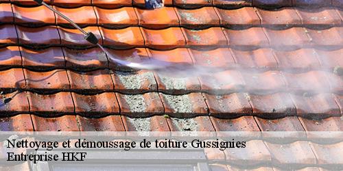 Nettoyage et démoussage de toiture  gussignies-59570 Entreprise HKF