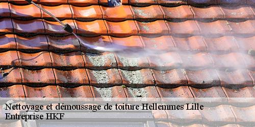 Nettoyage et démoussage de toiture  hellemmes-lille-59260 Entreprise HKF