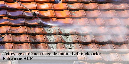 Nettoyage et démoussage de toiture  leffrinckoucke-59495 Entreprise HKF