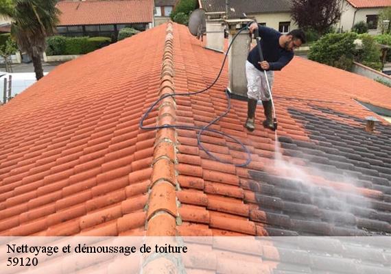 Nettoyage et démoussage de toiture  loos-59120 Entreprise HKF