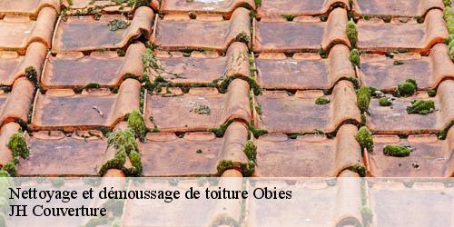 Nettoyage et démoussage de toiture obies-59570 JH Couverture