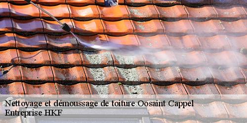Nettoyage et démoussage de toiture  oosaint-cappel-59122 Entreprise HKF