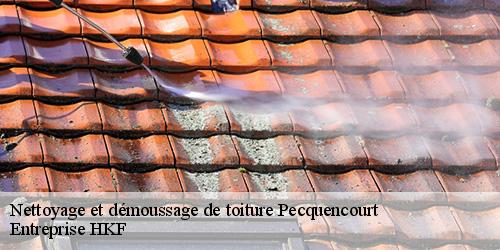 Nettoyage et démoussage de toiture pecquencourt-59146 Entreprise HKF