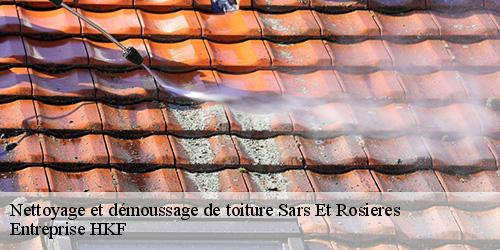 Nettoyage et démoussage de toiture  sars-et-rosieres-59230 Entreprise HKF