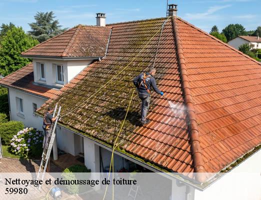 Nettoyage et démoussage de toiture troisvilles-59980 JH Couverture