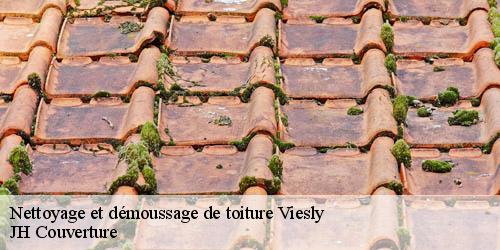 Nettoyage et démoussage de toiture viesly-59271 JH Couverture