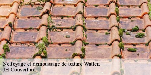 Nettoyage et démoussage de toiture watten-59143 JH Couverture