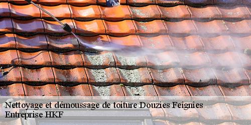 Nettoyage et démoussage de toiture douzies-feignies-59750 Entreprise HKF